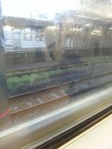 44855.jpg