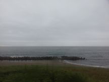44856.jpg