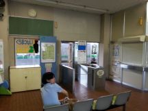 44865-3.jpg