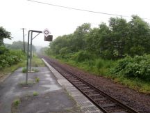 44867-8.jpg