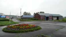44870-5.jpg