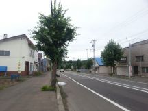 44889-9.jpg