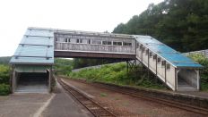 44892-1.jpg