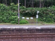 44892-4.jpg