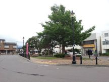 44895-4.jpg