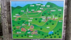 44925-2.jpg