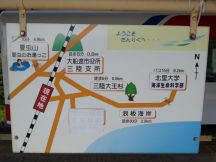 44981-7.jpg