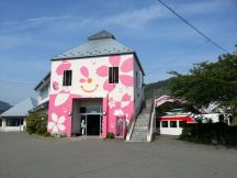 44982-4.jpg