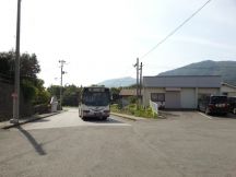 44982-5.jpg