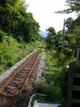 44982-6.jpg