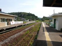 44984-1.jpg