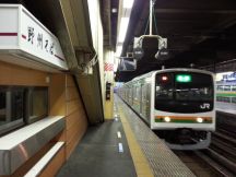 45023.jpg