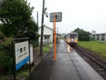 45089-7.jpg