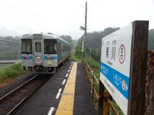 45121.jpg