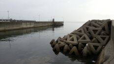 45150.jpg
