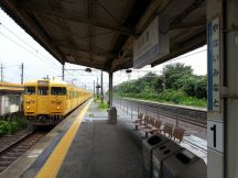 45156.jpg