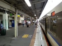 45172.jpg