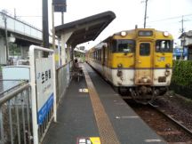 45176.jpg