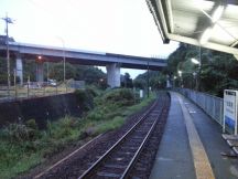 45180-1.jpg