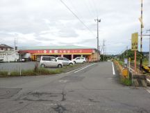 45204.jpg