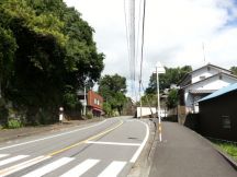 45246-1.jpg