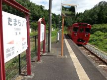 45246-7.jpg