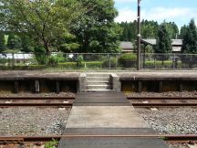 45247-3.jpg