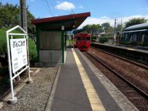 45255.jpg