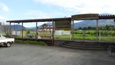 45264.jpg