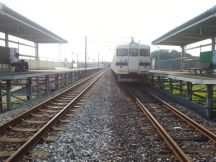 45305.jpg