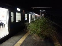 45312-1.jpg