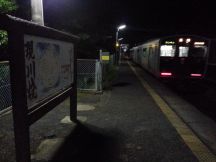 45313.jpg