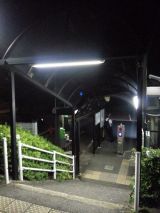 45314-2.jpg