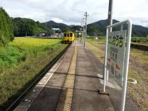 45389-6.jpg