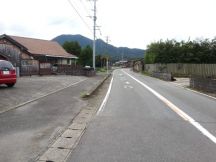 45391-2.jpg