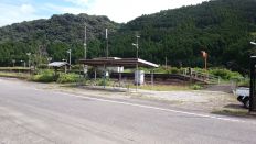 45395-5.jpg