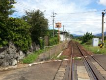 45397-3.jpg