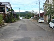 45398.jpg