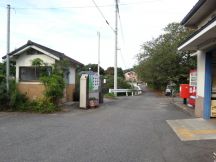 45410-6.jpg