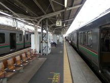 45442.jpg
