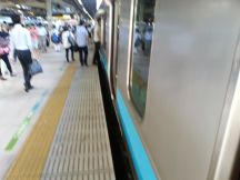 45495.jpg