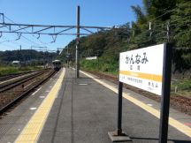 45507.jpg