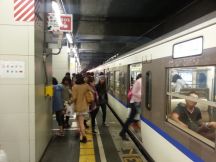 45536.jpg
