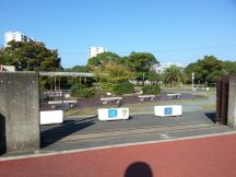 45581-6.jpg