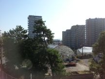 45581-8.jpg