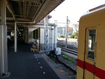 45582-3.jpg