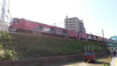 45585.jpg