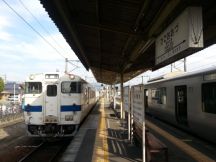 45615.jpg