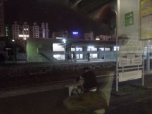 45626.jpg