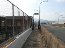45645-2.jpg